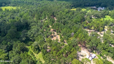 0 W Mchenry Rd, McHenry, MS 39561 - photo 4