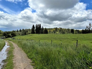 31275 Dixie Creek Rd, Prairie City, OR 97869 - photo 3