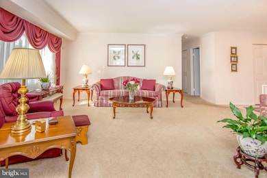 6808 Nashville Rd, Lanham, MD 20706 - photo 6