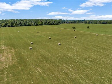 80803 Tract 28 Fm 233, Kennard, TX 75847 - photo 5