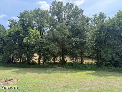 2 Ranch Rd, Hernando, MS 38632 - photo 5