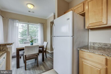 4551 Strutfield Ln unit 4205, Alexandria, VA 22311 - photo 3