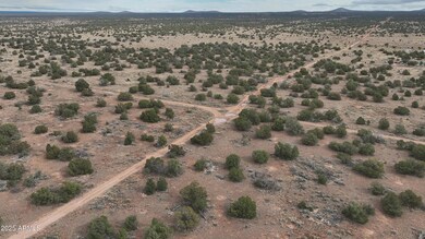 3976 E Highgrove Rd unit 225, Williams, AZ 86046 - photo 7