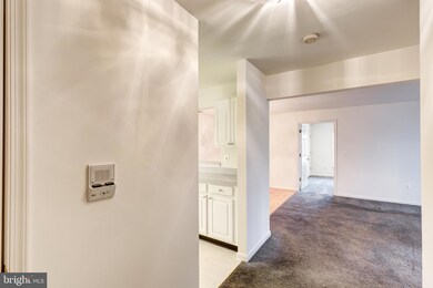 2021 Rudy Serra Dr unit 1B, Sykesville, MD 21784 - photo 7