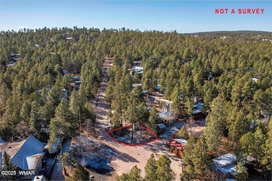63-20250304-DJI_0936-HDR-Edit
