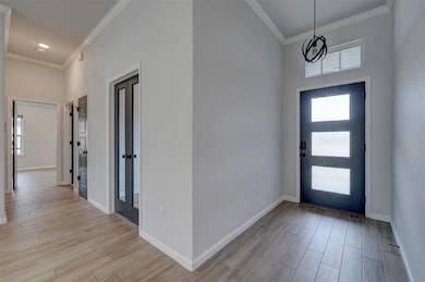 Foyer featuring crown molding and a wealth of natural light