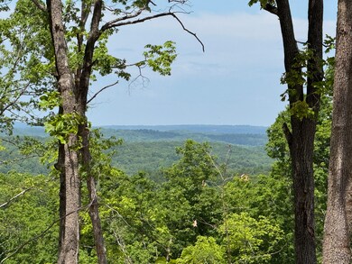 TBD Missouri 7, Roach, MO 65787 - photo 5