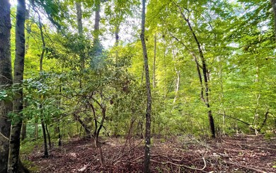Additional View