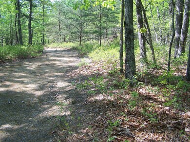 Road on property
