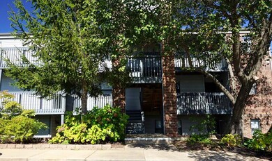 186 Bunker Ridge Dr #11