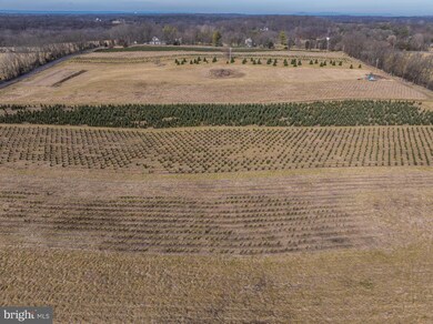 0 unit WVJF2010458, Shepherdstown, WV 25443 - photo 3