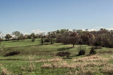 Tract 3 E 425th Rd, Fair Play, MO 65649 - photo 2