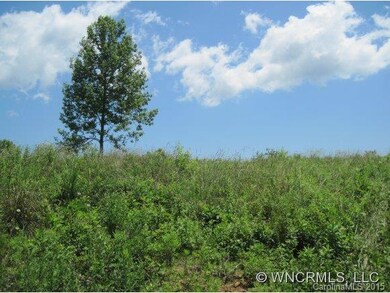 7 Staghorn Ct unit 7, Flat Rock, NC 28731 - photo 5