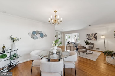 8826 Brierly Rd, Chevy Chase, MD 20815 - photo 7