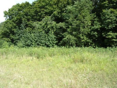 1 Liberty Cir, Prospect, TN 38477 - photo 2