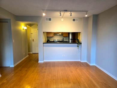 511 Aurora Ave unit 108, Naperville, IL 60540 - photo 6