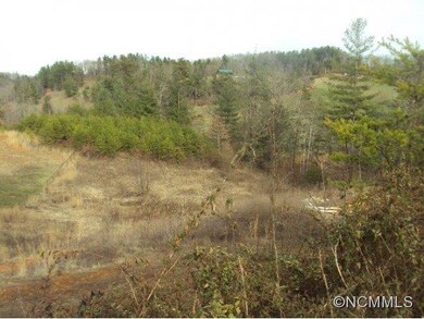 15 Trent Dr, Leicester, NC 28748 - photo 5