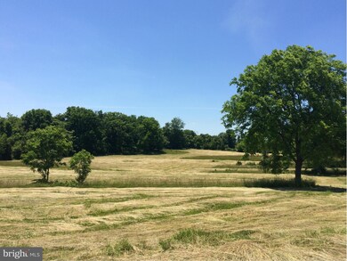 0 Buffalo Marsh Rd unit 1001322905, Middletown, VA 22645 - photo 2
