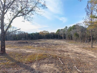 TBD Kimbley Ln, Rudy, AR 72952 - photo 4