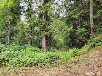 0 Yashi Rd unit NWM2428983, Brinnon, WA 98320 - photo 3