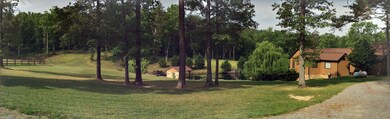 171 Clear Branch. Kittle. Panoramic pict