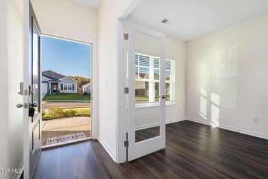 533 Sedgewick Way, Johnson City, TN 37601 - photo 4