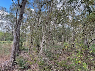 Photo of unimproved lot (3/3)