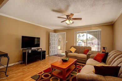Living Room / Greatroom