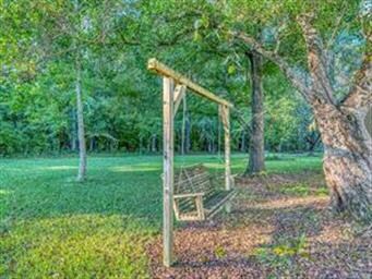 Swing in back yard