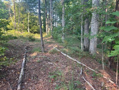 LOT 2 Shoreside at Sipsey, Double Springs, AL 35553 - photo 5