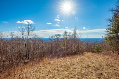 0 Spring Pond Trail, Cana, VA 24317 - photo 7