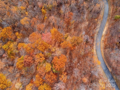 Lot 2110 Harm Creek Loop, Mill Spring, NC 28756 - photo 3