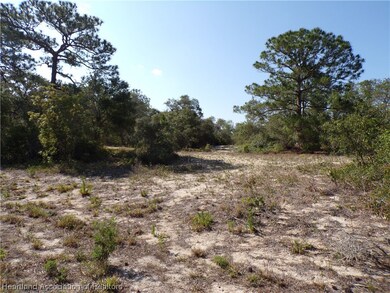 393 Morningside Dr, Lake Placid, FL 33852 - photo 5