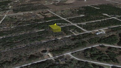 18068 Forrest Dr, Whitney, TX 76692 - photo 4