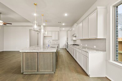 32208 Yaupon Bramble Ln, Conroe, TX 77385 - photo 6