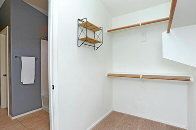 master walk in closet