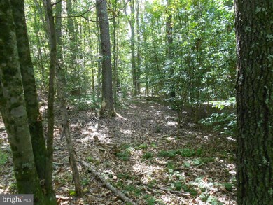 0 Dawsonville Ln unit 1000999511, Ruckersville, VA 22968 - photo 5