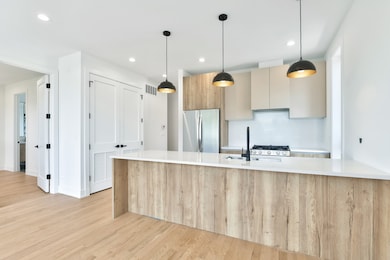 2147 W Adams St unit 2S, Chicago, IL 60612 - photo 5