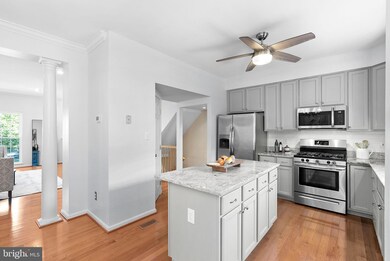 20355 Briarcliff Terrace, Sterling, VA 20165 - photo 5