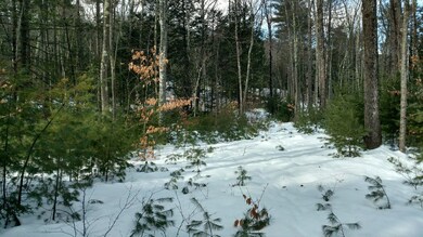 00 Woodward Dr, Milford, NH 03055 - photo 4