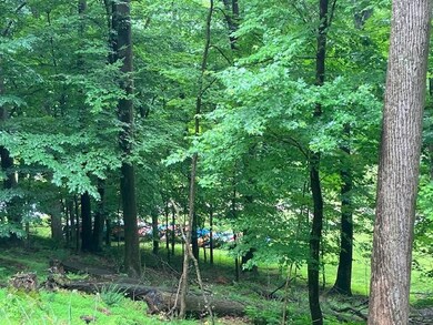 2057 Yana Ln, Hide A Way Hills, OH 43107 - photo 2