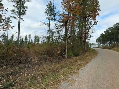 0 Cr 472 unit 37260, Meridian, MS 39301 - photo 4