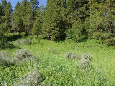 Close to Lake Cascade & Cascade Golf Course
