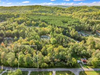 - Stevens Cir, Rockwood, TN 37854 - photo 4