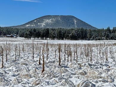 IMG_8846