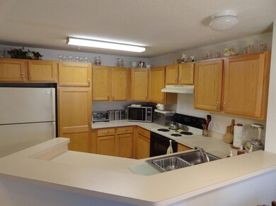 4705 Inverness St, Dexter, MI 48130 - photo 5