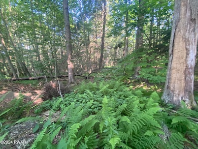 0 State Route 307 & Donny Dr unit PWBPW241930, Moscow, PA 18444 - photo 2