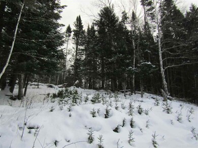 22 Urban Way, Pittsburg, NH 03592 - photo 7