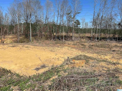 2041 Highland Gate Way, Hoover, AL 35244 - photo 3