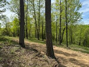 Tract I Ar 7 S, Jasper, AR 72641 - photo 6